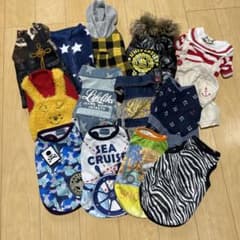 LIKELIKE他 お正月 袴  お得な13点セット 春夏秋冬のサムネイル