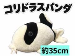 희소·당시물 타카라 코리드라스·판다 봉제인형