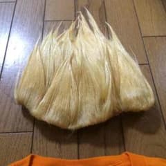 とぅうす様専用 スーパーサイヤ人のカツラのサムネイル