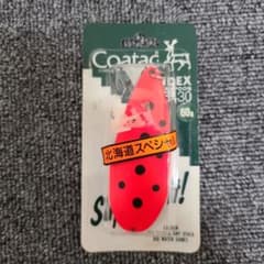 コータック　北海道スペシャル　てんとう虫　60グラム　アキアジのサムネイル