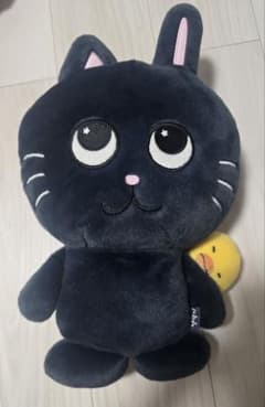 RIIZE RIIZING DAY トニャンドク40cm ドール ぬいぐるみ - メルカリ