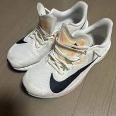 Nike ライバルフライ4のサムネイル