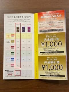 西武ホールディングス株主優待券冊子のサムネイル