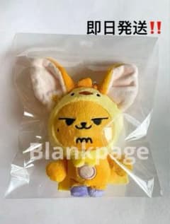 早い者勝ち‼️TXT キーチェーン キーホルダー ぬいぐるみ ファンチュン