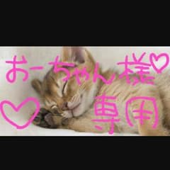 おーちゃん★様～専用商品～のサムネイル
