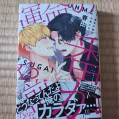 運命の番がお前だなんて 春田 ディアプラスコミックスのサムネイル