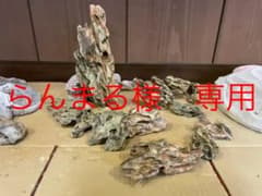 らんまる様　専用のサムネイル
