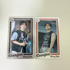 straykids スキズ エコパ チャンビン ライブフォトカード