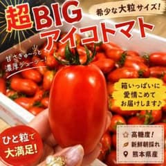 熊本県産 超BIG アイコトマト 1kg 産地直送のサムネイル