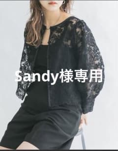 オーガンジーフラワークロップドブラウスのサムネイル