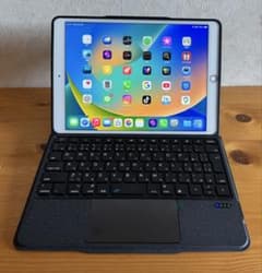 Apple iPad Air (第３世代) 256GB SIMフリー
