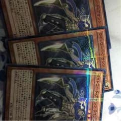 ライトロード・アサシン ライデンのサムネイル