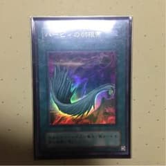 ハーピィーの羽根箒のサムネイル