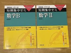 10日あればいい！ 大学入試短期集中ゼミ 数学２Ｂのサムネイル
