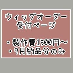 ウィッグオーダー 受付ページ 9月納品分のみ - メルカリ