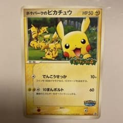 極美品】ポケパークのピカチュウ プロモカード 043/PCG-P | Mercari