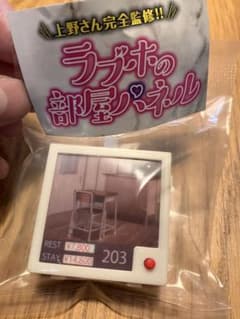 ラブホの部屋パネル　203号室のサムネイル