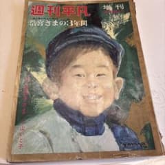週刊平凡 増刊 2月28日号のサムネイル