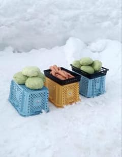 【2/16 発送】長野県産 雪中キャベツ(おまけで雪中人参付き)60サイズのサムネイル
