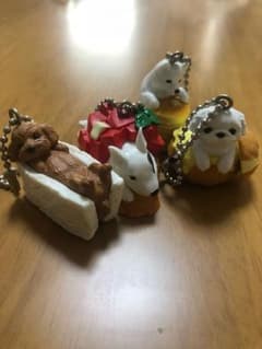 キャン様専用のサムネイル