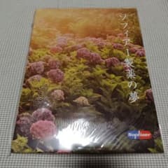 SOPHIAパンフレット 未開封 ツアー2003-'04のサムネイル