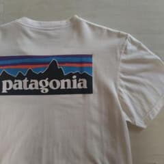 patagonia オーガニックコットン Tシャツ M ホワイトのサムネイル