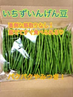 いちずいんげん　約600gのサムネイル