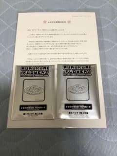 新品未開封】村上隆 となりの開花堂 プロモカード 2パック【限定品