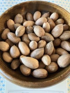 樹齢600年 榧の実（かやの実） 2025年産 1kg アク抜き済み - メルカリ