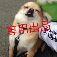 TiNA様専用出品のサムネイル