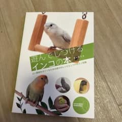 遊んでしつけるインコの本 : よい関係をはぐくむための遊びのレシピとしつけのミ…のサムネイル