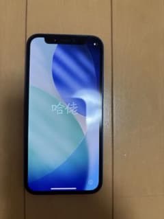 Apple iPhone 12 mini 블루 본체