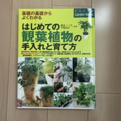 はじめての観葉植物の手入れと育て方 : 基礎の基礎からよくわかるのサムネイル