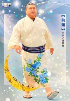 髙安 キラカード版 レギュラーカード BBM 2025 大相撲カード 和