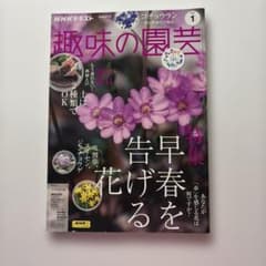 NHK出版 趣味の園芸 2024年1月号のサムネイル