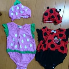 baby 70 てんとう虫 イチゴ 70のサムネイル