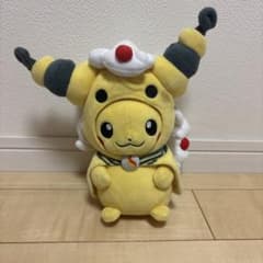 ポケモン メガデンリュウ ポンチョ ピカチュウ ぬいぐるみのサムネイル