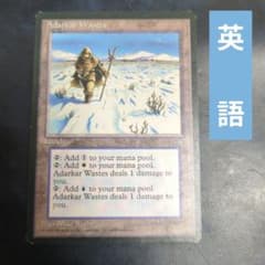 アダーカー荒原 英語 アイスエイジ版 - メルカリ