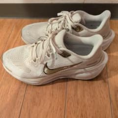 NIKE ペガサス41 23センチのサムネイル