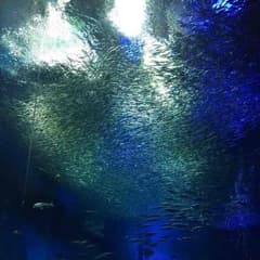 ちー兄様専用のサムネイル