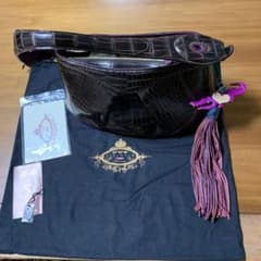 チビナイルクロコダイルバック❣️大幅値下げ320,000円から280,000円❣️のサムネイル