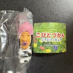 [익명 배송] 고비 토 가칸 시보리오 오치치
