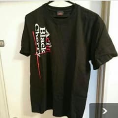 にゃすのり様専用‼AcidBlackCherryライブTシャツ、パンフレットのサムネイル