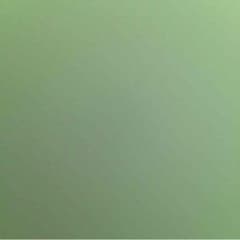 専用のサムネイル