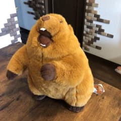 新品タグ付き マーモット 音声ぬいぐるみ けたたましい雄叫び プライズ