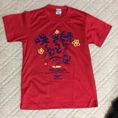 ミズノ☆ソフトボールTシャツのサムネイル