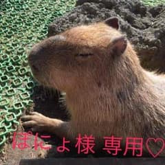 ミニショルダーバッグ✳︎22日までお取り置きのサムネイル