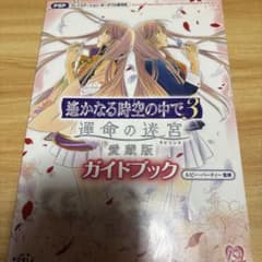 遙かなる時空の中で3 運命の迷宮 愛蔵版 ガイドブックのサムネイル