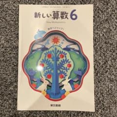 新しい算数 6 New Mathematicsのサムネイル