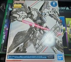 MG 1/100 프리덤 건담 ver.2.0 실버 코팅
